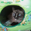  , -, 61  -  25  2011   