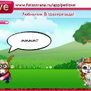  , , 24  -  24  2010   PetLove