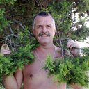 ���� ���������, ������, 69 ��� - ��������� 1 �������� 2012