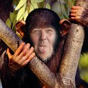 ���� ����, �����������, 52 ���� - ��������� 3 ���� 2013 � ������ ���� ����������