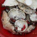 ���� �����, ������ - ��������� 5 ������� 2012 � ������ ����� ��������