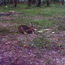 ���� ��������, ��������� - ��������� 21 ���� 2011 � ������ �������