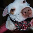 ���� �� ������� ���� ����������