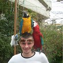 ���� Noisia, �����������, 44 ���� - ��������� 15 ��� 2012 � ������ ���� ����������