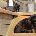  , , 40  -  27  2012    28.04 - 01.05.2012