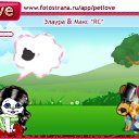  , , 23  -  14  2011   PetLove