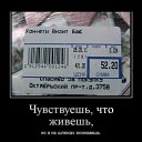 -,  -  31  2013   