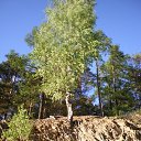 ���� Dimarik 7475, ������, 50 ��� - ��������� 6 ������ 2010 � ������ �PetLove�