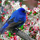 ���� ����, ������������ - ��������� 28 ������ 2011 � ������ �Avataria�