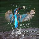 ���� Yasser, ������, 53 ���� - ��������� 9 ������� 2011 � ������ ���� �����