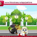 ���� ����, ������, 25 ��� - ��������� 10 �������� 2010 � ������ �PetLove�