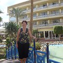  , -, 71  -  31  2013    2013