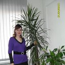 ���� �������, ���������, 41 ��� - ��������� 11 �������� 2010