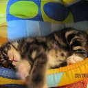 ���� ����, ������, 36 ��� - ��������� 2 ������� 2011 � ������ ���������