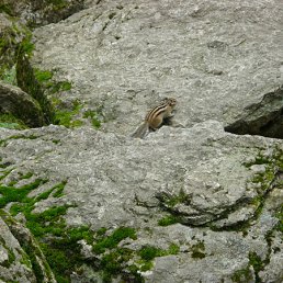 ���� �������, ������ - ��������� 6 ���� 2012