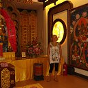  , -, 64  -  26  2013   .