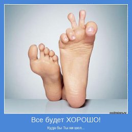���� ������, ��������, 47 ��� - ��������� 29 ������ 2012