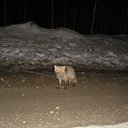  , --, 55  -  14  2011   