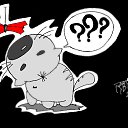 ���� ������, �����, 40 ��� - ��������� 24 ������ 2011 � ������ ���� ��������