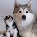 ���� �����, ���� - ��������� 25 ������� 2013 � ������ ���� ������ ������� �����, ��� ������ �������� ������)))�