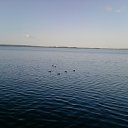 ���� ������)....., �����, 43 ���� - ��������� 3 ����� 2012 � ������ ���� ����������