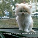 ���� ������, �������� - ��������� 30 ��� 2011 � ������ ��������))))�