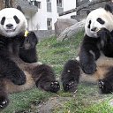 ���� ����, �������� - ��������� 3 ��� 2010 � ������ ��������� ��������