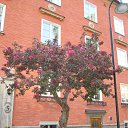 ���� �������, ���������, 66 ��� - ��������� 29 ������ 2013 � ������ ������ �� �������