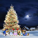 ���� �������, ���������, 34 ���� - ��������� 3 ������ 2010