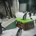 ���� ����������))) �� ������� ���������� ����)))�