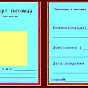  "",  -  2  2011    .
