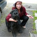 ���� ��������, ������ �����, 53 ���� - ��������� 9 ���� 2013 � ������ ���� ����������