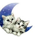 ���� ���, ���, 25 ��� - ��������� 7 ������ 2010 � ������ ���������