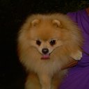 ���� �����, ����, 59 ��� - ��������� 10 ����� 2012 � ������ ���� ��������