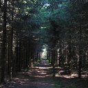 ���� ���, ������������ - ��������� 13 ������� 2010 � ������ ���� ����������