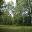 ���� �����, ������, 41 ��� - ��������� 30 ������ 2013 � ������ ����������