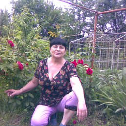 ���� �������, �������, 69 ��� - ��������� 8 ���� 2012