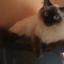 ���� ����, �������� - ��������� 22 �������� 2012 � ������ ����� �������)))�