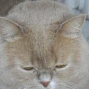 ���� ������, ���! - ��������� 19 ���� 2013 � ������ ���� ����������