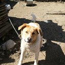 ���� ������, ������ ��������, 45 ��� - ��������� 30 ������ 2011 � ������ ���� ����������