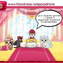  ......., , 34  -  12  2010   PetLove