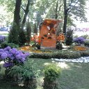 ���� �����, �����-���������, 51 ��� - ��������� 10 ���� 2013 � ������ ���� ����������