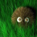 ���� ����, ������� ��������, 58 ��� - ��������� 7 ������ 2012 � ������ ���� ����������