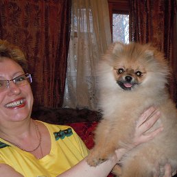 ���� ������, ����, 61 ��� - ��������� 15 ���� 2013