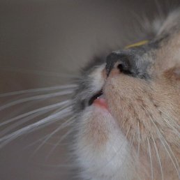 �����, ��������, 47 ���