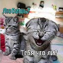 ���� �����(������� �������� � Ѹ��������), �������-���������, 46 ��� - ��������� 5 ������ 2012 � ������ ���� ����������