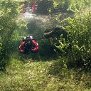 ���� Mik, �����, 43 ���� - ��������� 1 ������� 2013 � ������ ���� ����������