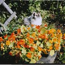 ���� ���, ������������ - ��������� 24 ������ 2012 � ������ ������