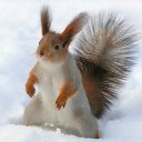 ���� �������, ������ - ��������� 23 ������� 2012 � ������ ���� ����������