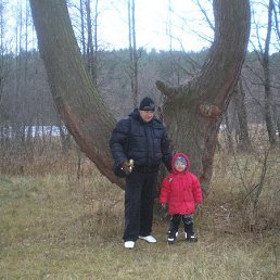  Algirdas, , 55  -  15  2013